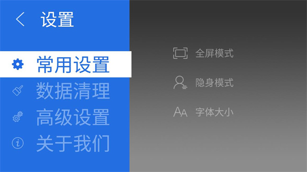 飞视浏览器TV版