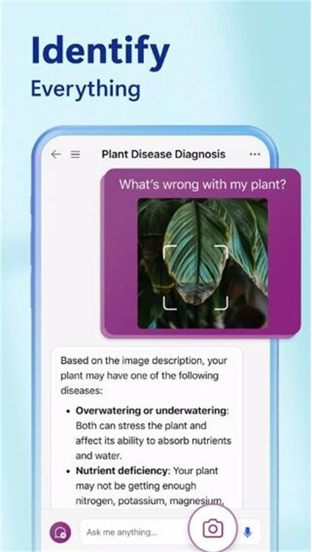必应bing国际版(搜索引擎)v32.2.430730004截图1