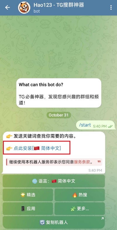 纸飞机怎么设置中文-3