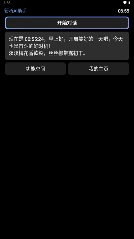 衍析AI(人工智能)手表版安装v0.1截图3