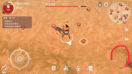 西部土地生存官方正版新手攻略3