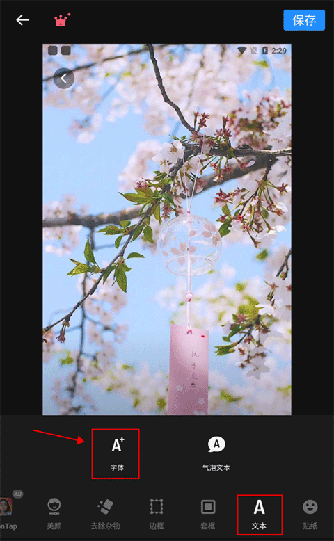 专业照片编辑器如何编辑文字3