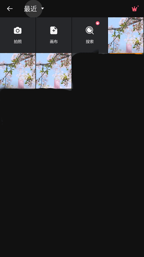 专业照片编辑器如何编辑文字2