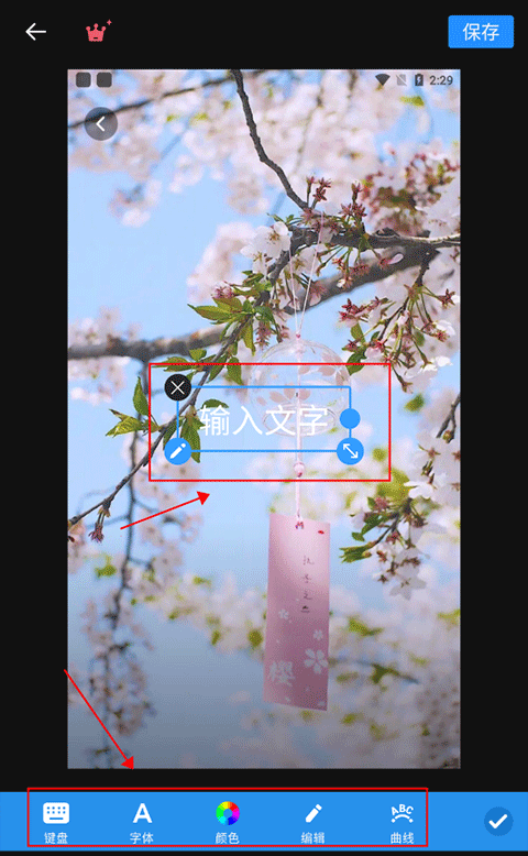 专业照片编辑器如何编辑文字4