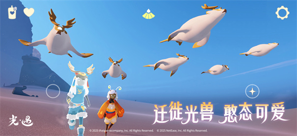 sky光遇测试服免资格安装包最新版本v0.31.2354648截图5