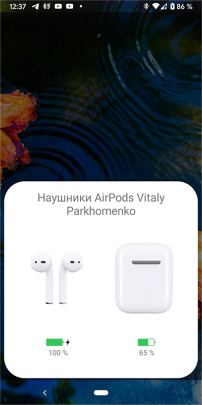 andropods
