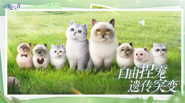 以闪亮之名截图5