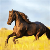 Your TV(你的电视)官方版安装v2.2.1