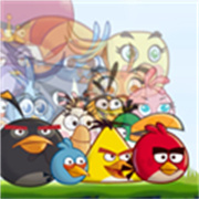 愤怒的小鸟无双版