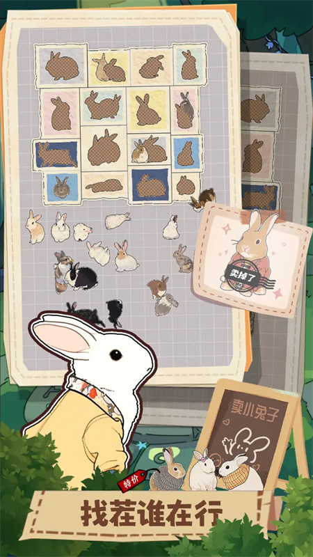 挤在一起的兔兔