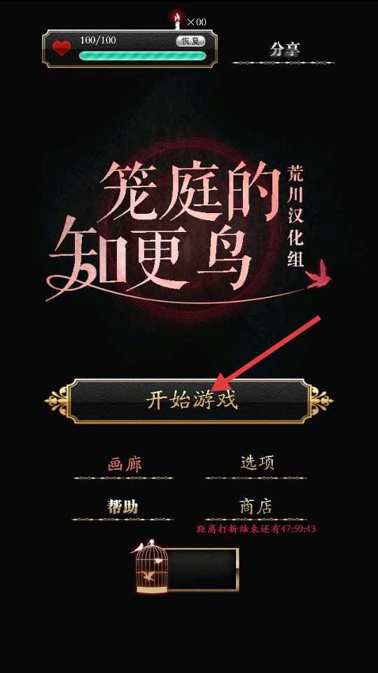 笼庭的知更鸟