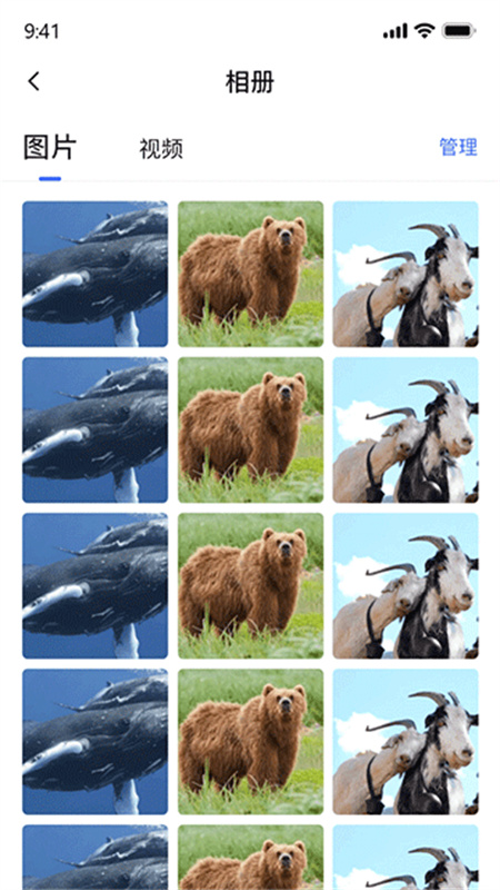 密盒虚拟机截图4