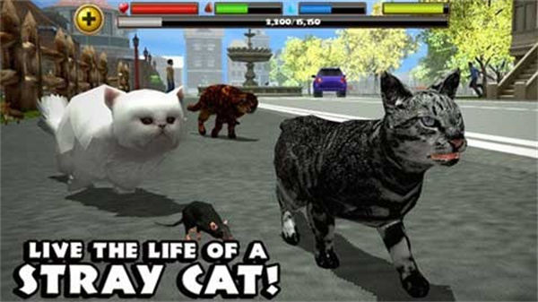 流浪猫模拟器中文版