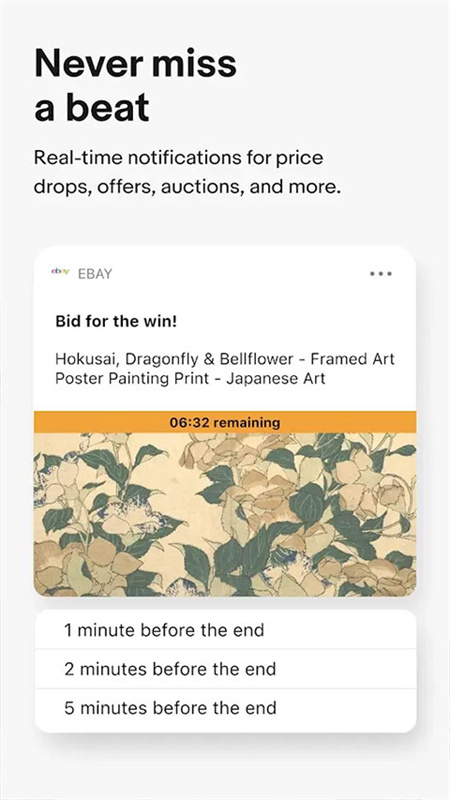eBay电商