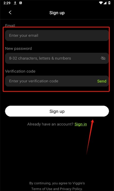 viggleai软件使用方式-4