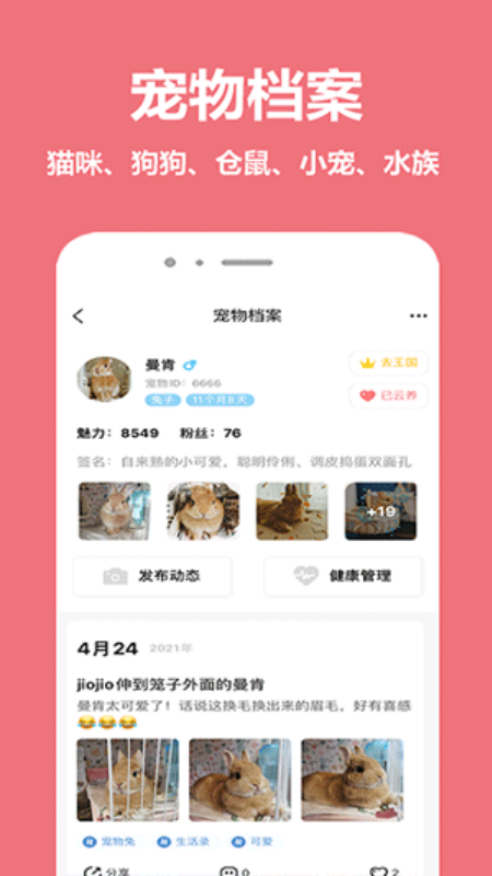 宠物王国