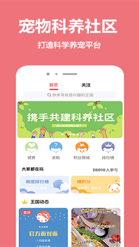 宠物王国