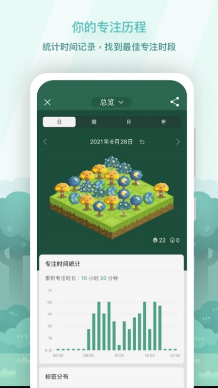 Forest专注森林
