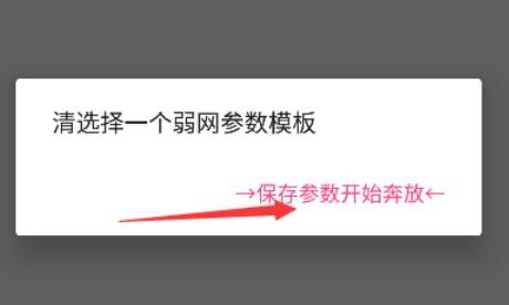 金砖弱网4.0软件使用方式-3