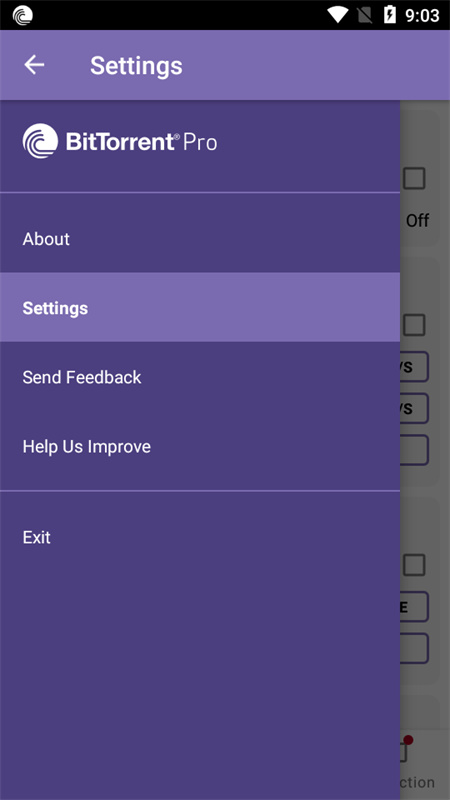 BitTorrent