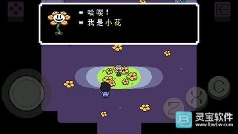 传说之下黄魂正义之影新手怎么玩5