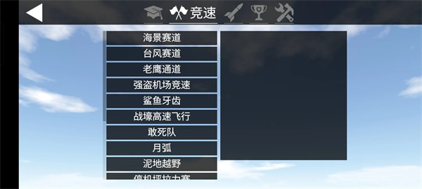 简单飞行中文版截图2