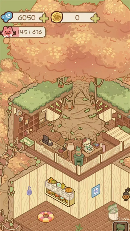 猫屋猫屎香