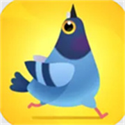 疯狂的鸽子手机版