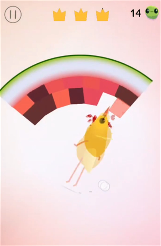 pigeonpop