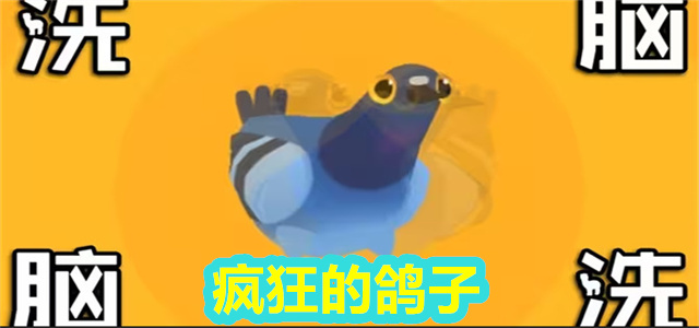 疯狂的鸽子