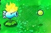 植物大战僵尸喵版怎么玩2