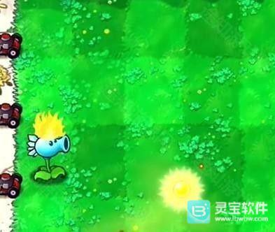 植物大战僵尸喵版怎么玩1