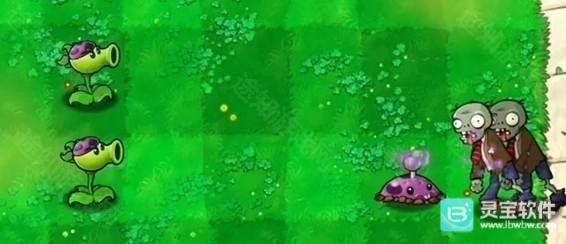 植物大战僵尸喵版怎么玩4