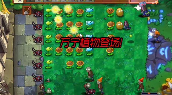植物大战僵尸万宁版