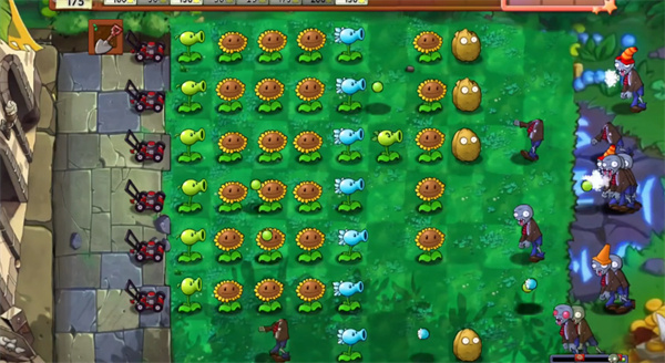 植物大战僵尸万宁版