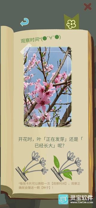 老农种树游戏玩法2