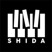 shida自动弹琴