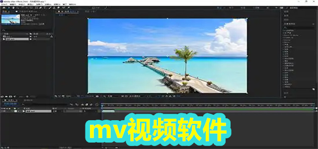 mv软件