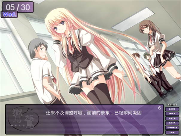 鸑鷟镜花水月截图2