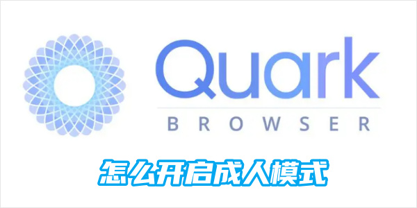 夸克浏览器成人模式怎么开启 夸克如何切换到成人模式