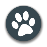 兽音译者免费版