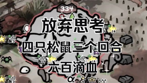 喵喵的结合德鲁伊松鼠流派教学