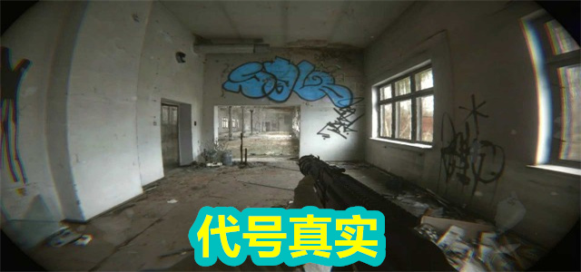 代号真实
