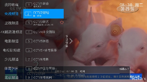 兔兔电视