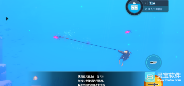 潜水员戴夫手游