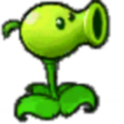 愤怒的植物大战僵尸捣蛋猪版