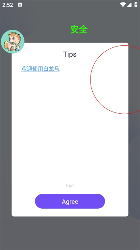 白龙马直装