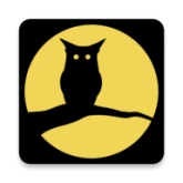 夜猫子辅助器正版