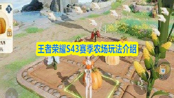 王者荣耀s43怎么种菜