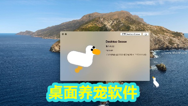 桌面养宠